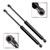 XYZMOT 2pcs Front Hood Gas Charged Lift Support 4116 SG402031 51238402551 For BMW X5 E53 2000-2006 Hood