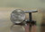 West Virginia Cuff Links  State Quarter Cufflinks  New River Cufflinks