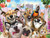 Howard Robinson - Pet Selfie - 500 pc Super 3D Puzzle