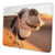 Camel in The Sunset Rectangle Non-Slip Rubber Mousepad Gaming Mouse Pad Square Mouse Mat for Desktops Computer Laptops