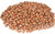 Anna and Sarah Large Oregon Hazelnuts in Shell  5 Lbs
