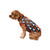 FOCO Chicago Bears NFL Busy Block Dog Sweater - M