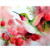 Jigsaw Puzzle 1000 Piece Hummingbird and Flowers Classic Puzzle DIY Kit Wooden Toy Unique Gift Home Decor
