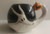 The Nightmare Before Christmas Zero Ceramic Coffee Mug - Holds 24 Fluid Ounces