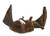 Aurora World Bat Plush