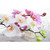 Jigsaw Puzzle 1000 Piece Flower Orchid DIY Home Decoration Gift Classic Puzzle 3D Puzzle DIY Kit Wooden Toy Unique Gift Home Decor