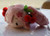 Sega-Plush Vocaloid Sakura Miku Hatsune Nesoberi Medium C