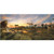 Sunset at The Waterhole Jigsaw Puzzle 1000 Piece