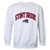 Stony Brook University Campus Crewneck Pullover Sweatshirt Sweater White Medium