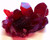 Ruby Red Crystal Mineral Gemstone Rock Soap - FREE SHIPPING - Pomegranate Scented
