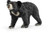 Schleich North America Schleich Sloth Bear Toy Figure