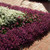 Outsidepride Alyssum Deep Purple Groundcover Seed - 2000 Seeds