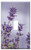 Switch Plate Single Toggle - Flower Balcony Garden Lavender Balcony Plant