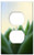 Switch Plate Outlet Cover - Plant Leaf Kaktusowate Nature Succulent Sharp