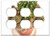Triple Duplex Outlet Wall Plate Cover - Succulent Cactus Cacti Cactae Botanical Plant