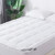 Naluka Mattress Topper Full Size Pillow top Mattress Cover Down Alternative Quilted Luxury Microfiber Mattress Pad?54  x75