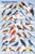 Laminated Backyard Birds Educational Science Chart Poster Print 24x36