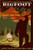 Rocky Mountain National Park Colorado - Home of Bigfoot  12x18 Art Print Wall Decor Travel Poster