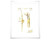 Lockheed C-130 Hercules Airplane Patent Gold Foil Art Print. 7 Foil Colours. Aviation Poster.