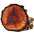 Rare Walnut Tree Wood Coasters with Bark 4-Pack