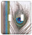 3dRose lsp_202271_2 Peacock Feather with Gold Trim Look - Double Toggle Switch