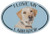 Oval Dog Breed Picture Car Sticker - I Love My Labrador  Yellow Lab  - Sticker - Sticker Graphic - Auto Wall Laptop Cell Truck Sticker for windows cars trucks tool boxes laptops