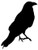 Bird Crow Animal - Sticker Graphic - Auto Wall Laptop Cell Truck Sticker for Windows Cars Trucks