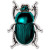 AK Wall Art Beetle Bug Insect Nature Science Vinyl Sticker - Car Phone Helmet - Select Size
