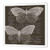 3dRose ht_178891_3 Brown French Butterflies Vintage-Iron on Heat Transfer Paper for White Material, 10 by 10-Inch