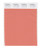 PANTONE SMART 17-1341X Color Swatch Card, Tawny Orange