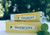 Ivyees Peppermint Toothpaste   Infused with Honey  and  Peppermint