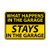 What Happens in The Garage Stays in The Garage Vinyl Sticker Decal 8 inch
