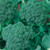Organic Waltham 29 Broccoli Seeds - 500 mg ~150 Seeds - Non-GMO Open Pollinated Heirloom Vegetable Gardening  and  Micro Greens Seeds