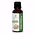 Angelica Root Oil  Angelica Archangelica  Essential Oil 100 percent Pure Natural Undiluted Uncut Therapeutic Grade Oil 0.16 Fl.OZ