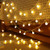 Ellsang LED Globe String Lights 33FT USB Fairy Lights LED String Light for Indoor Outdoor Wedding Birthday Party Garden Bedroom Wall Decorations