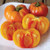 PAPCOOL 10 Tomato Pineapple S??DS for Pl?nting - Pineapple Tomato S??DS