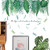 TANOKY Green Tropical Plant Wall Stickers Nature Palm Tree Fresh Leaf Plants Wall Decals DIY Wall Murals for Bedroom Living Room Home Decoration - Safe on Walls  and  Easy Peel