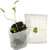 Freeby 100Pcs Plant Grow Bags Seed-Raising Bags Biodegradable Non-Woven Nursery Bags Fabric Seedling Pots Plants Pouch Home Garden Supply