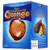 Chocolate Orange - Milk  157g   Premium pack