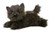Aurora World Flopsie Toto Dog 12"
