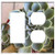 2-Gang Rocker GFCI Outlet Combination Wall Plate Cover - Succulent Plant Cactus Botanical Garden Foliage