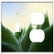 2-Gang Toggle Outlet Combination Wall Plate Cover - Plant Leaf Kaktusowate Nature Succulent Sharp