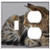 2-Gang Toggle Outlet Combination Wall Plate Cover - Cat Tabby Full Body Cute Pet Striped