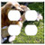 Double Duplex Outlet Wall Plate Cover - Dog Golden Retriever Garden Pet Concerns