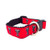 NCAA Texas Tech Red Raiders Dog Collar  Team Color Medium