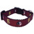 NCAA Florida State Seminoles Dog Collar  Team Color Small NCAA Florida State Seminoles Dog Collar  Team Color Small