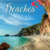 Turner Licensing 2021 Beaches Mini Wall Calendar