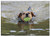 Triple Blank Wall Plate Cover - Dog Swim Play Ball Floating Pet Sport