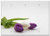 Triple Blank Wall Plate Cover - Bouquet Tulip Bouquet Tulips Flowers Spring 1