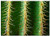 Triple Blank Wall Plate Cover - Cactus Spur Thorns Green Prickly Plant